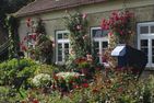 Ferienbauernhof Liesenberg Bauernhauswohnung Landlust Fehmarn - 