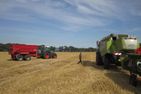 Ferienbauernhof Liesenberg Bauernhauswohnung Landlust Fehmarn - 