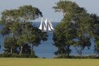 Ferienbauernhof Liesenberg Bauernhauswohnung Landlust Fehmarn - 