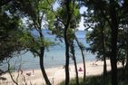 Ferienbauernhof Liesenberg Bauernhauswohnung Landlust Fehmarn - 