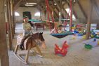 Ferienbauernhof Liesenberg Bauernhauswohnung Landlust Fehmarn - 