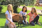 Ferienbauernhof Liesenberg Bauernhauswohnung Landlust Fehmarn - 