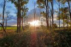 Ferienbauernhof Liesenberg Bauernhauswohnung Landlust Fehmarn - 