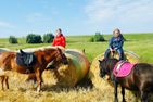 Nordsee Bauernhof Wulff Ferienwohnung Amrum Reußenköge - Sport / Aktivitäten
