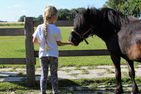 Nordsee Bauernhof Wulff Ferienwohnung Amrum Reußenköge - Sport / Aktivitäten