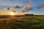 Nordsee Bauernhof Wulff Ferienwohnung Amrum Reußenköge - Landschaft