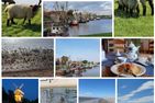  Sielzeit Greetsiel/Krummhörn - Landschaft