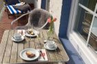  Haus Bielefeld Ferienwohnung 20 Norderney - Balkon