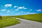 Nordsee Bauernhof Wulff Ferienwohnung Amrum Reußenköge - Landschaft