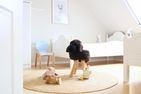 Nordsee Bauernhof Wulff Ferienwohnung Amrum Reußenköge - Schlafzimmer