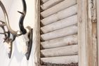 H.O.M.E. Suites Braunlage Wohnung 4 Braunlage - 