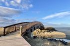  Strandläufernest Tinnum - Landschaft