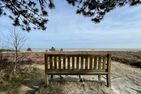  Strandläufernest Tinnum - Landschaft
