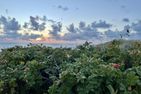  Sylter Residenz Westerland - Landschaft