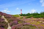 Haus *Südspitze 17* Ferienwohnung *Alpenstrandläufer* Wittdün auf Amrum - Landschaft