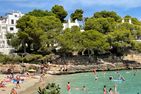  Playa d'Or 16 / Cala D'Or / Mallorca  - Strand