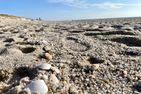  Seestern Wenningstedt - Strand