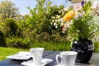  Schifferstübchen Ostseebad Ahrenshoop - 