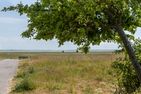  Pur A2 Ostseebad Ahrenshoop - Landschaft