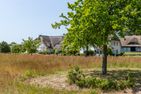  Pur A2 Ostseebad Ahrenshoop - Landschaft