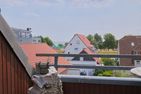  Haus Deichgraf Whg. 11 Grömitz - Meerblick