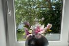  Anja Westerland - 