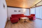 Ferienwohnpark Immenstaad am Bodensee Satteldachhaus (Typ 9) SD 49 Bodensee - Wohnzimmer