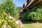  Iris neu - Reetdachhaus Petersen Nebel - 
