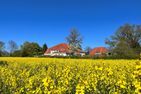  Landidyll Elmenhorst Elmenhorst - Garten