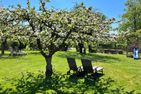  Landidyll Elmenhorst Elmenhorst - Garten