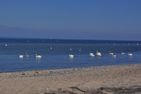  Sunny, entspannen auf der Südterrasse Lübecker Bucht - Ostsee - 