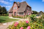  Rosa Rugosa Borgsum - Fassade / Eingang