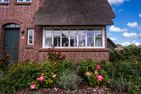  Rosa Rugosa Borgsum - 