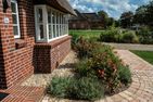  Rosa Rugosa Borgsum - 