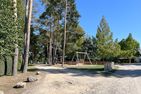  Feriendorf Papillon Boltenhagen - Blick zum Kinderspielplatz