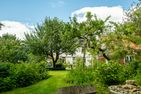  Ferienhaus Atelierhaus Glücksburg Sandwig Flensburger Förde - Garten