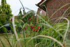  Am Deich Greetsiel/Krummhörn - Garten