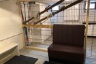  Harzkind Braunlage - 
