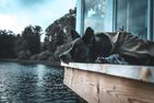  (52) 2 Ferienhäuser am See Flaken in einem Paket Smaland - 