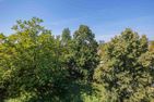 Ferienwohnpark Immenstaad am Bodensee Zwei-Zimmer-Apartment 51/23 Bodensee - Garden view