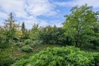 Ferienwohnpark Immenstaad am Bodensee Zwei-Zimmer-Apartment 51/08 Bodensee - Garden view