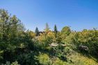 Ferienwohnpark Immenstaad am Bodensee Zwei-Zimmer-Apartment 51/14 Bodensee - Balkon