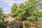 Ferienwohnpark Immenstaad am Bodensee Zwei-Zimmer-Apartment 55/14 Bodensee - Garden view