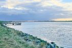  Reethus Rosengarten (DIT) Dithmarschen - 