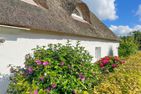  Reethus Rosengarten (DIT) Dithmarschen - Hauptansicht