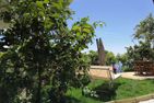  BoccioLina Golfo Paradiso - 