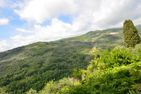  Villa Chinotto Prela - 