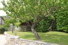  Villa Paola Prela - 