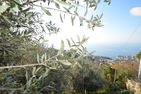  Bel Poggetto Golfo Paradiso - Meerblick