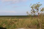  Strandmeerchen Norden/Norddeich - Landschaft
